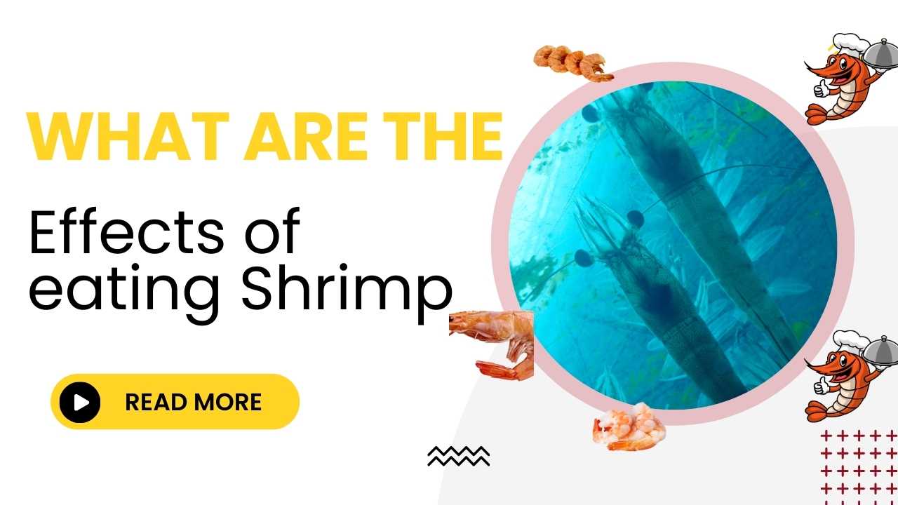 What are the effects of eating shrimp?
