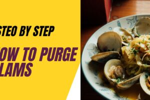 how to purge clams