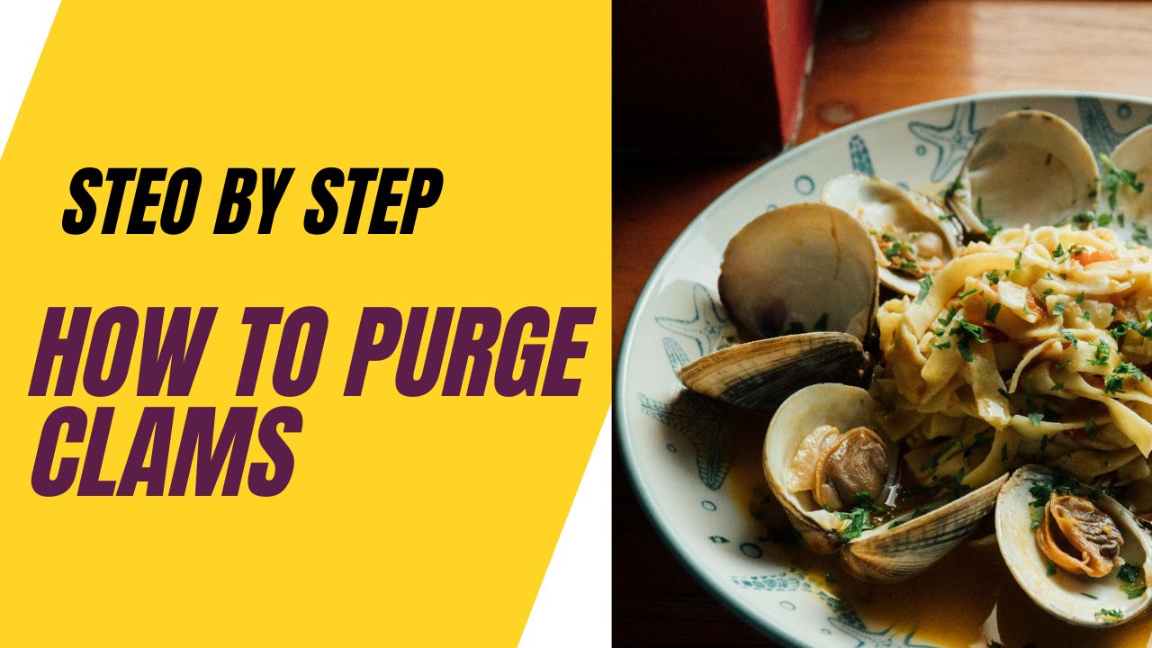 how to purge clams